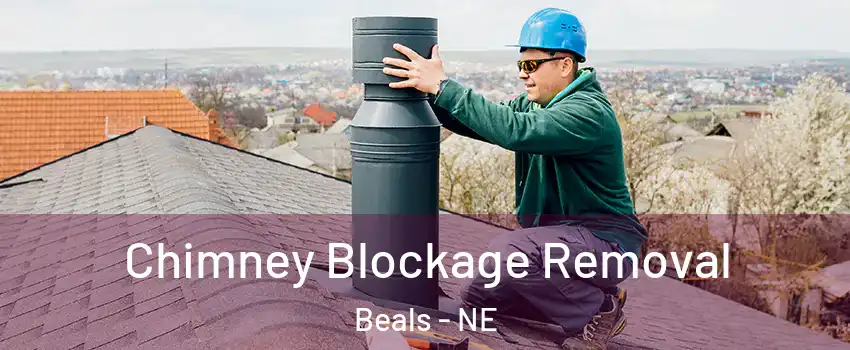 Chimney Blockage Removal Beals - NE