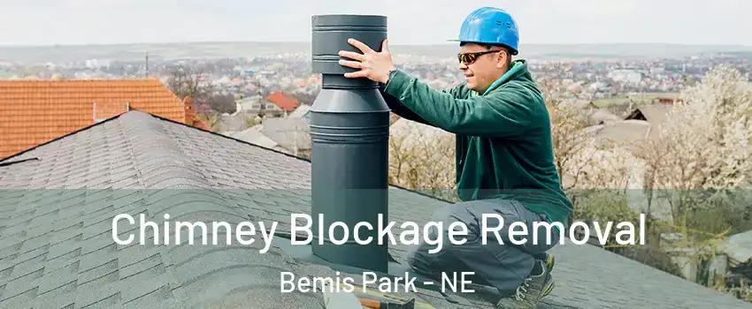 Chimney Blockage Removal Bemis Park - NE