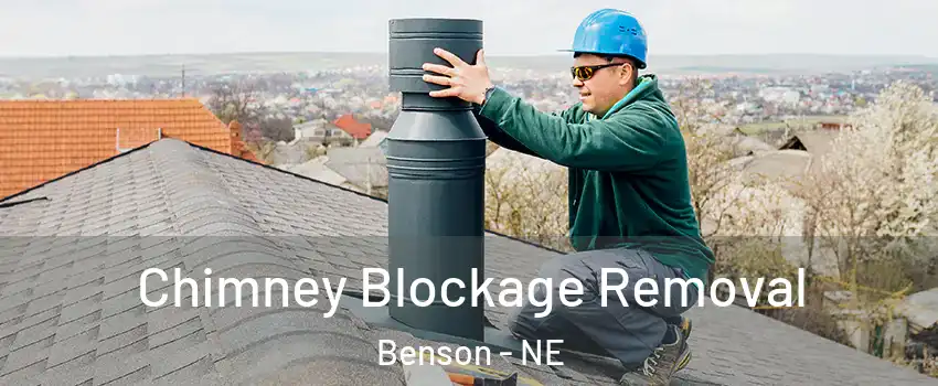 Chimney Blockage Removal Benson - NE