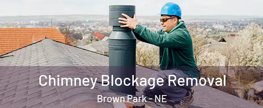 Chimney Blockage Removal Brown Park - NE