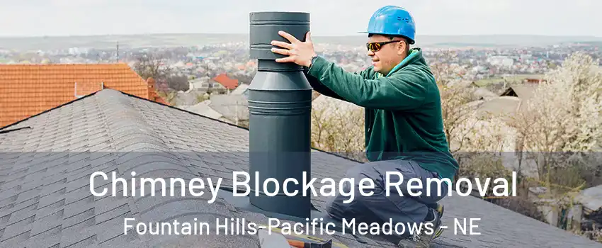 Chimney Blockage Removal Fountain Hills-Pacific Meadows - NE