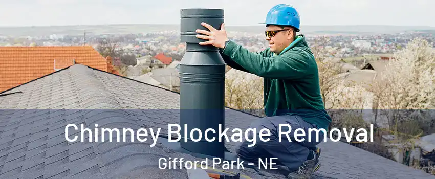 Chimney Blockage Removal Gifford Park - NE