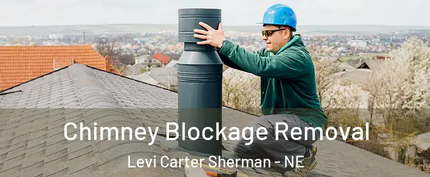 Chimney Blockage Removal Levi Carter Sherman - NE