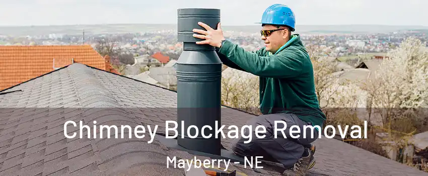 Chimney Blockage Removal Mayberry - NE