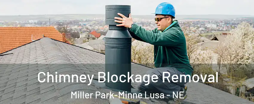 Chimney Blockage Removal Miller Park-Minne Lusa - NE