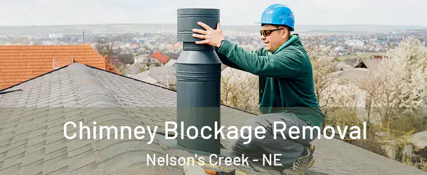 Chimney Blockage Removal Nelson's Creek - NE