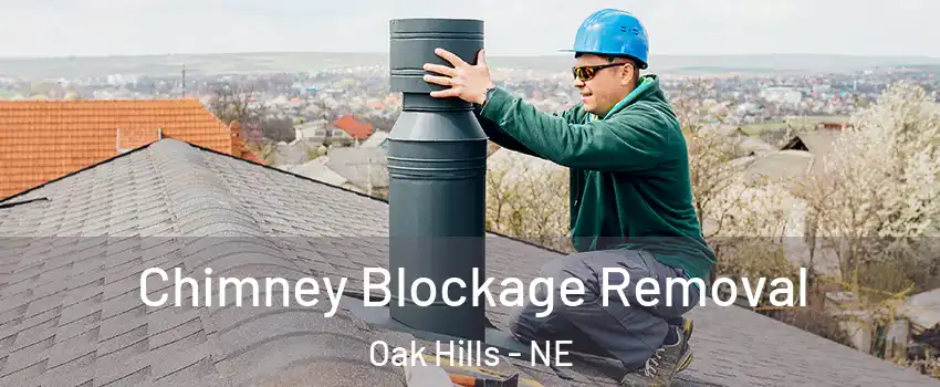 Chimney Blockage Removal Oak Hills - NE