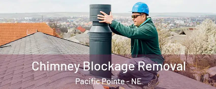 Chimney Blockage Removal Pacific Pointe - NE