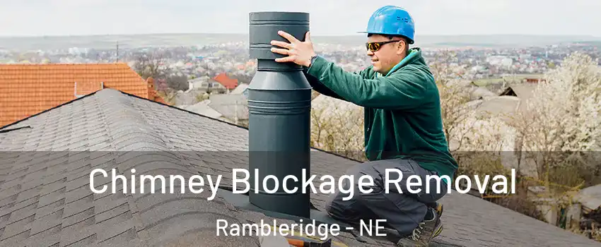 Chimney Blockage Removal Rambleridge - NE