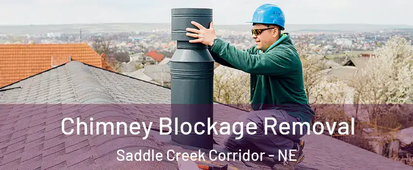Chimney Blockage Removal Saddle Creek Corridor - NE