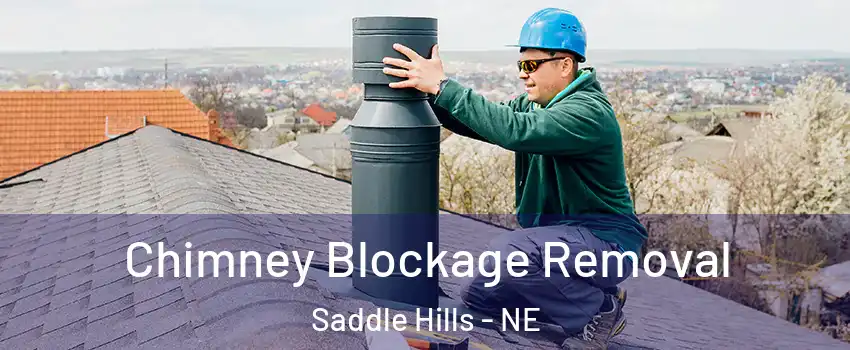 Chimney Blockage Removal Saddle Hills - NE