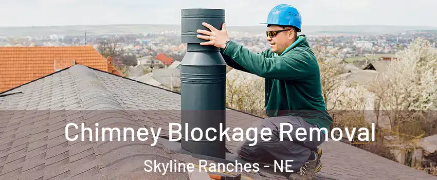 Chimney Blockage Removal Skyline Ranches - NE