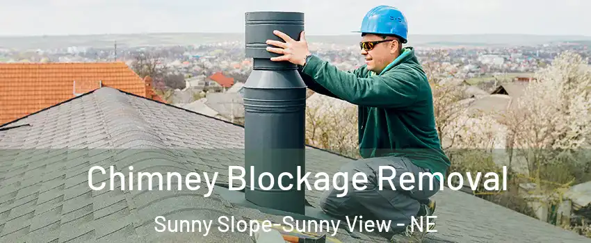 Chimney Blockage Removal Sunny Slope-Sunny View - NE