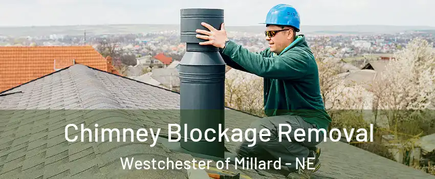 Chimney Blockage Removal Westchester of Millard - NE