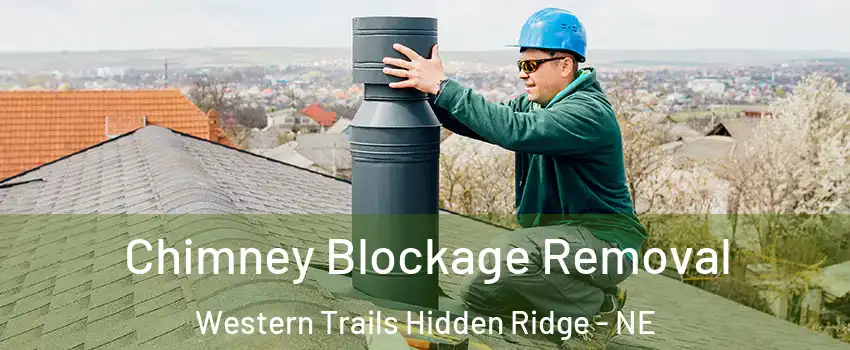 Chimney Blockage Removal Western Trails Hidden Ridge - NE