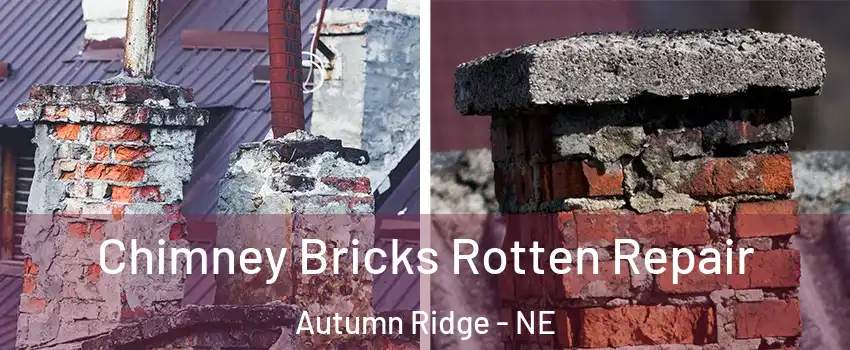 Chimney Bricks Rotten Repair Autumn Ridge - NE