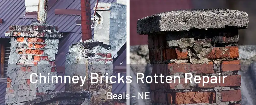 Chimney Bricks Rotten Repair Beals - NE