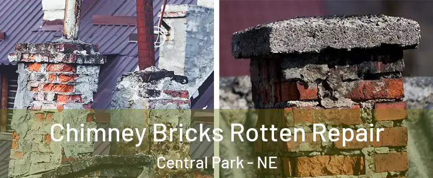 Chimney Bricks Rotten Repair Central Park - NE