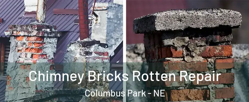 Chimney Bricks Rotten Repair Columbus Park - NE