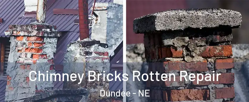 Chimney Bricks Rotten Repair Dundee - NE
