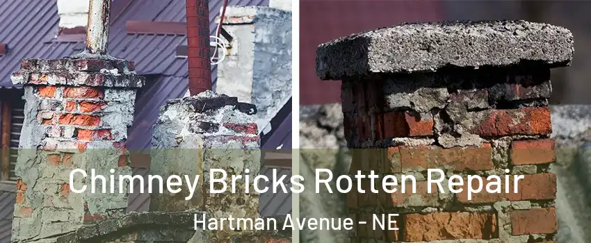 Chimney Bricks Rotten Repair Hartman Avenue - NE