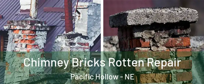 Chimney Bricks Rotten Repair Pacific Hollow - NE