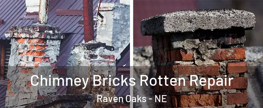Chimney Bricks Rotten Repair Raven Oaks - NE