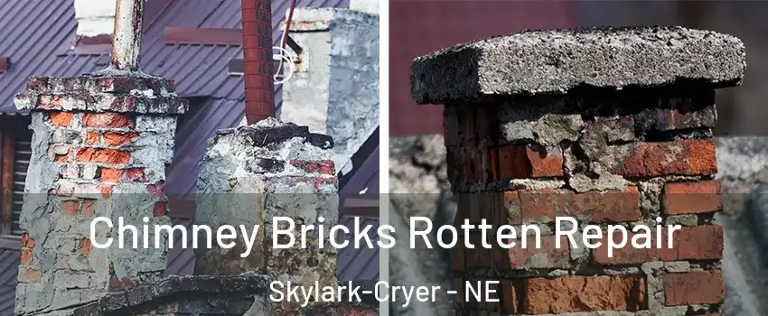 Chimney Bricks Rotten Repair Skylark-Cryer - NE
