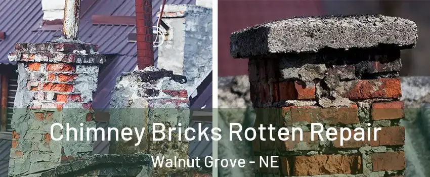 Chimney Bricks Rotten Repair Walnut Grove - NE