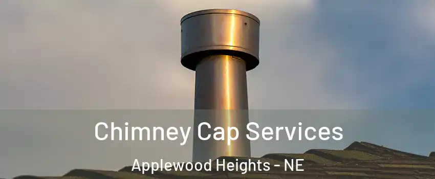 Chimney Cap Services Applewood Heights - NE