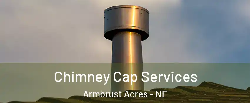 Chimney Cap Services Armbrust Acres - NE