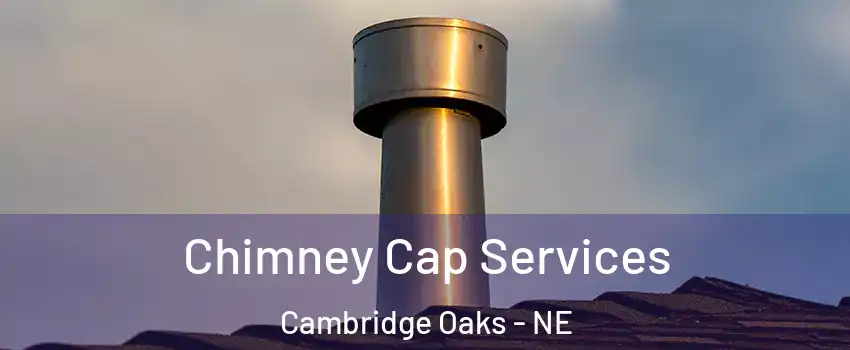 Chimney Cap Services Cambridge Oaks - NE