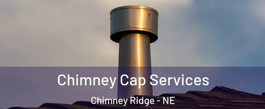 Chimney Cap Services Chimney Ridge - NE