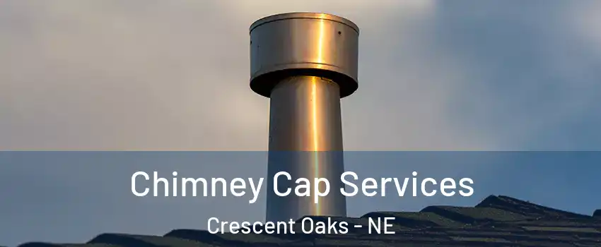 Chimney Cap Services Crescent Oaks - NE