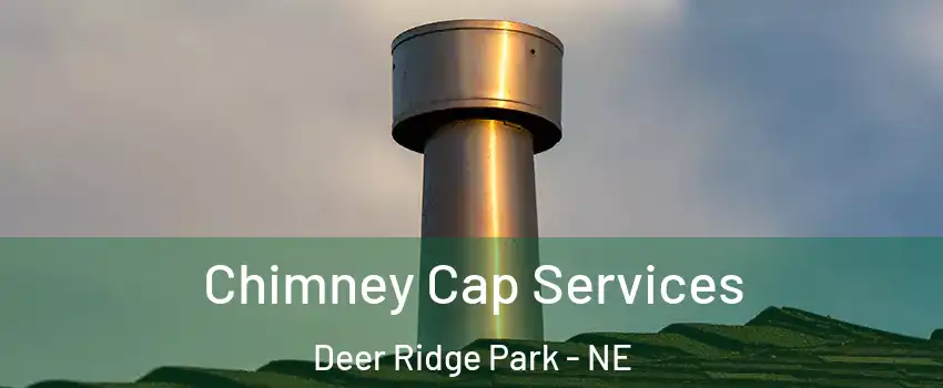 Chimney Cap Services Deer Ridge Park - NE