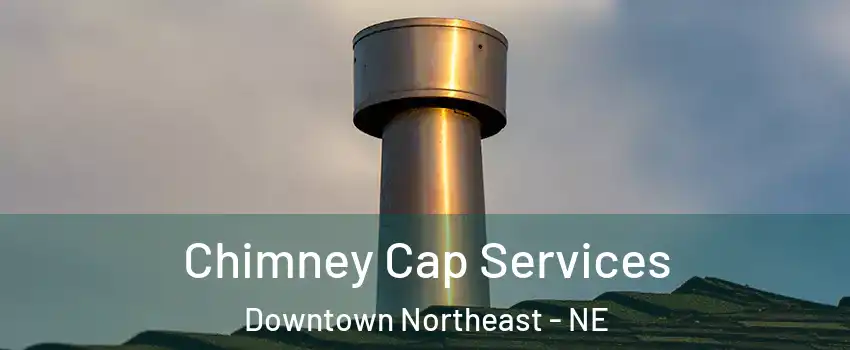 Chimney Cap Services Downtown Northeast - NE