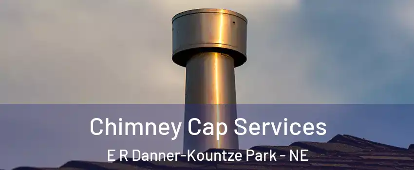 Chimney Cap Services E R Danner-Kountze Park - NE
