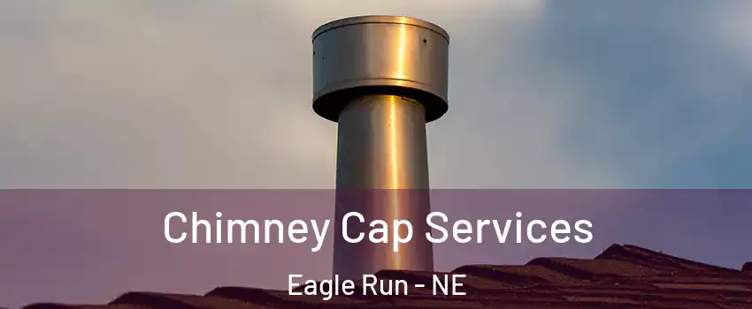 Chimney Cap Services Eagle Run - NE