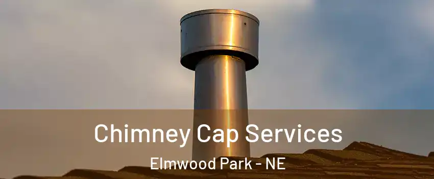 Chimney Cap Services Elmwood Park - NE