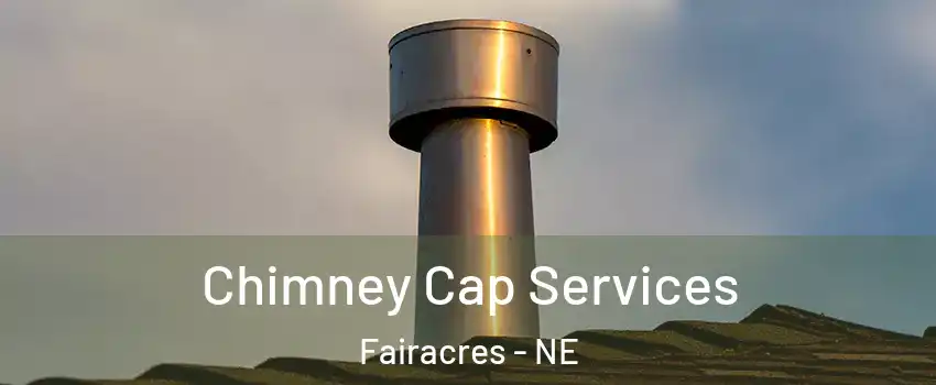 Chimney Cap Services Fairacres - NE