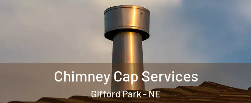 Chimney Cap Services Gifford Park - NE