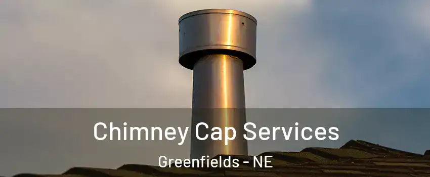 Chimney Cap Services Greenfields - NE
