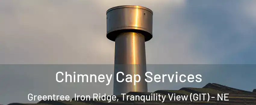 Chimney Cap Services Greentree, Iron Ridge, Tranquility View (GIT) - NE