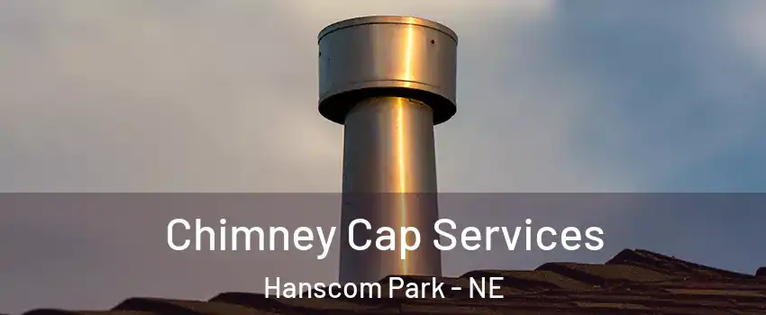 Chimney Cap Services Hanscom Park - NE