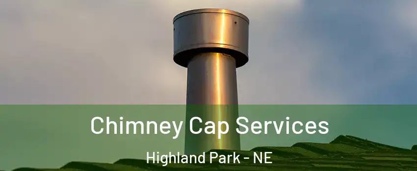 Chimney Cap Services Highland Park - NE