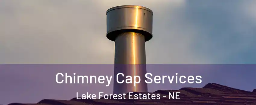 Chimney Cap Services Lake Forest Estates - NE