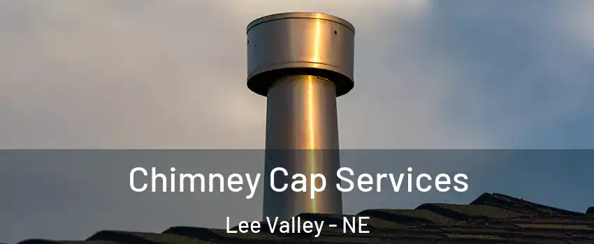 Chimney Cap Services Lee Valley - NE