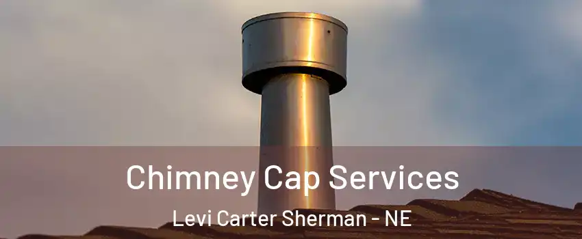 Chimney Cap Services Levi Carter Sherman - NE
