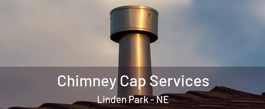 Chimney Cap Services Linden Park - NE