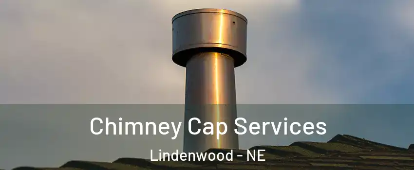 Chimney Cap Services Lindenwood - NE